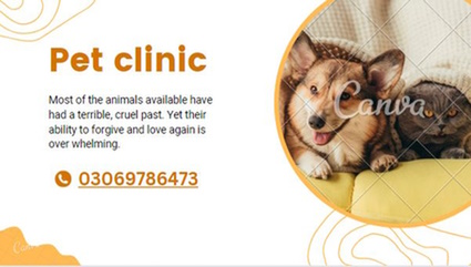 pet care home services